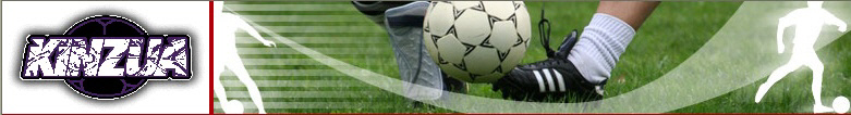 Kinzua banner